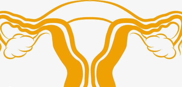 严重子宫萎缩不建议做试管婴儿