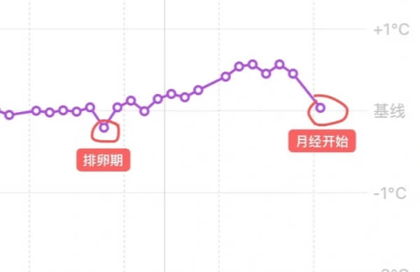 基础体温下降是排卵日的症状