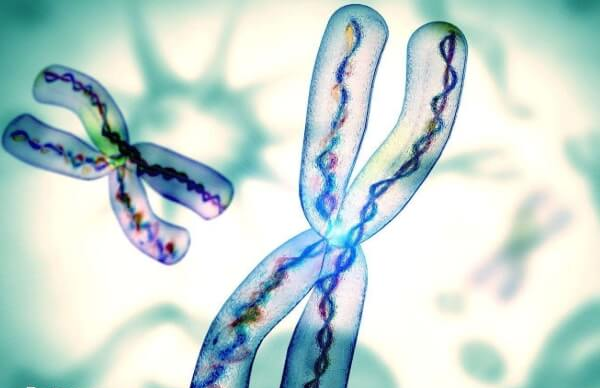 染色体变异共有5种类型