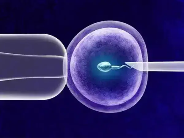 人工授精与自然怀孕迹象相似