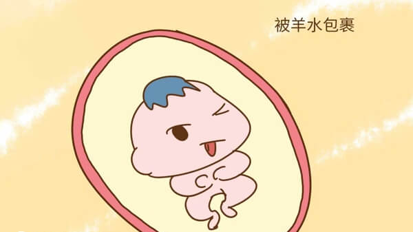 坚持饮食补充羊水后要定期复查