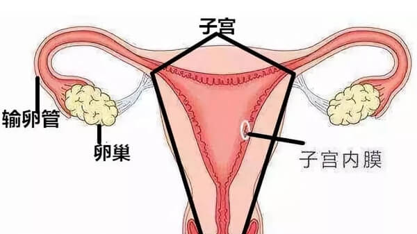 卵巢功能衰退的表现