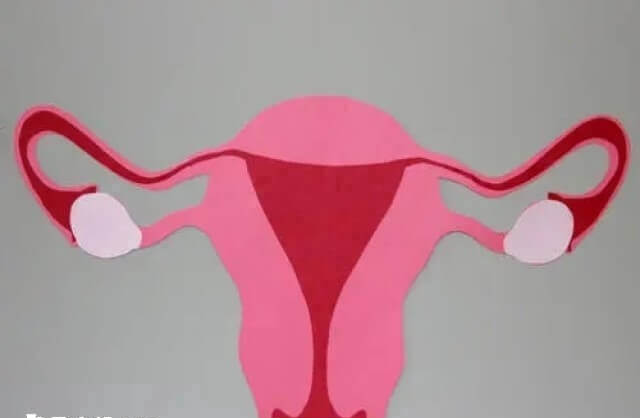 子宫内膜条件影响试管着床