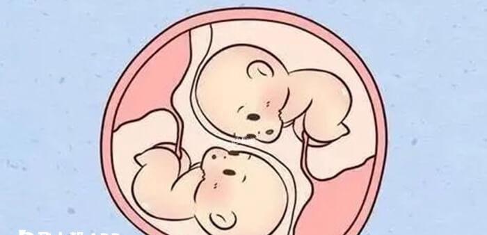做试管婴儿可能生双胞胎
