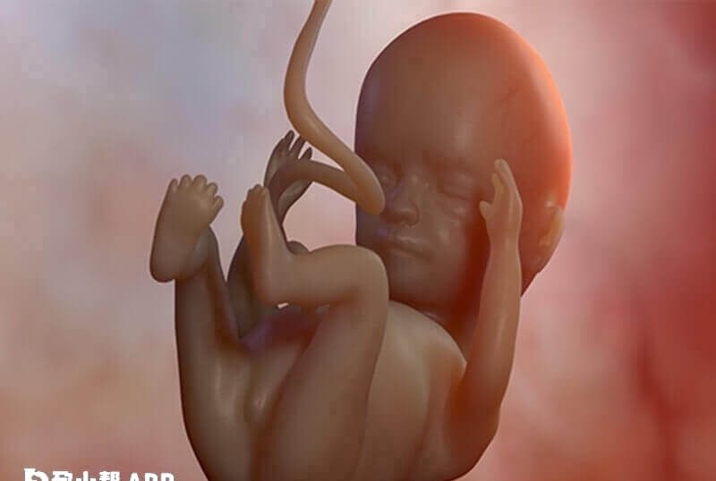 高龄怀孕胎儿畸形率高