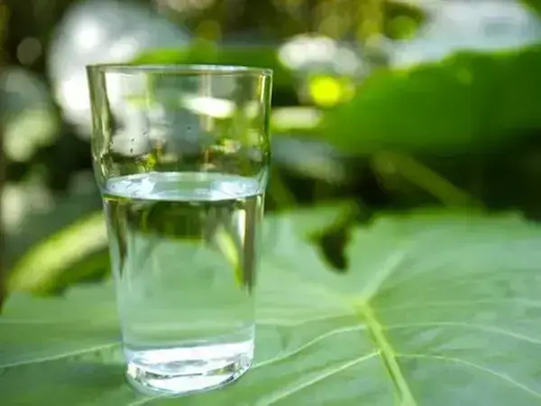 多喝水有助于加速尿酸的代谢
