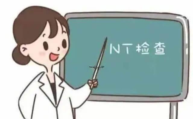 NT检查包括超声检查、血液测试等内容