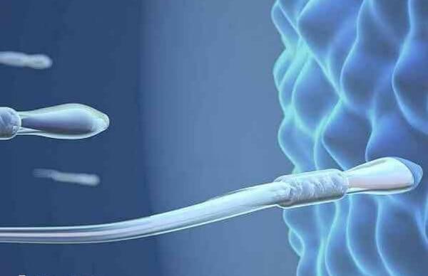 女性生殖功能健康做人工授精易成功