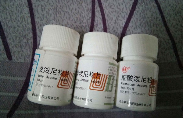 试管婴儿服用强的松能提高成功率