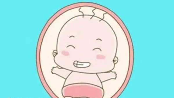 孕期雌二醇反映着胎儿的发育状况