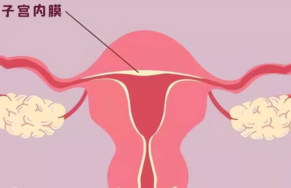 子宫内膜薄一定要先调理好再备孕