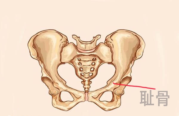 怀二胎耻骨痛得早是正常的