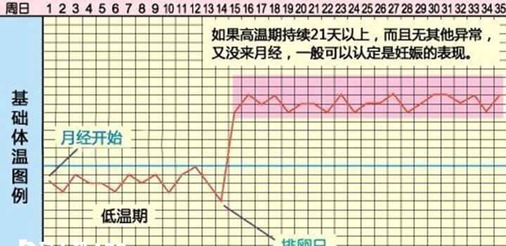 女性怀孕几率在排卵日较高