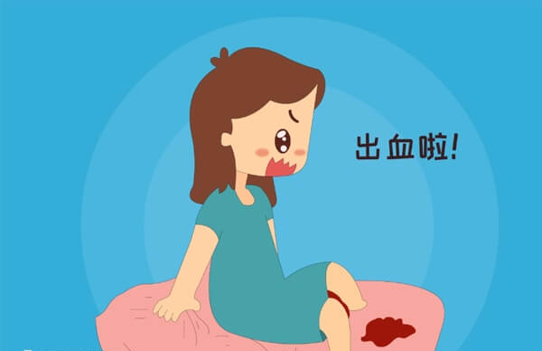 囊胚移植着床后会出现一系列早孕反应
