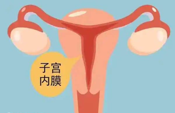 子宫内膜薄胚胎着床会很不稳定