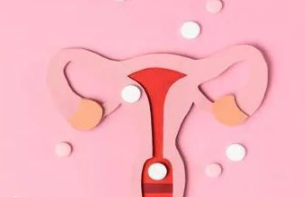 子宫内膜是胚胎着床的重要场所