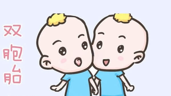 不是所有女性都适合怀双胞胎