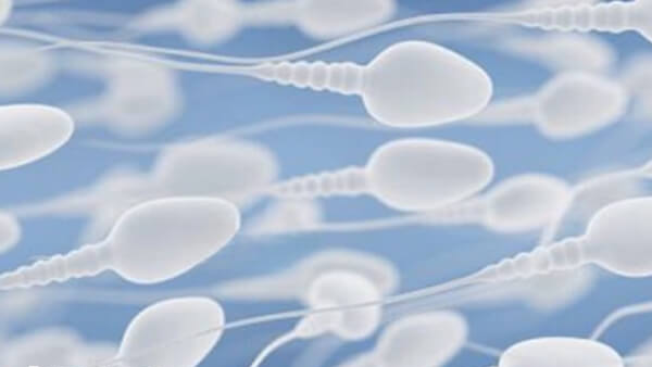 二代试管婴儿适合男性精子异常的情况