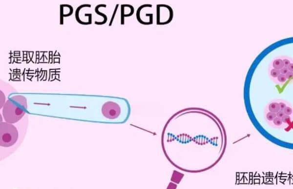 三代试管胚胎筛查出结果时间不固定