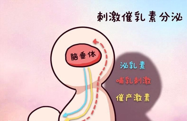 促排卵泌乳素超27ng/ml就是偏高