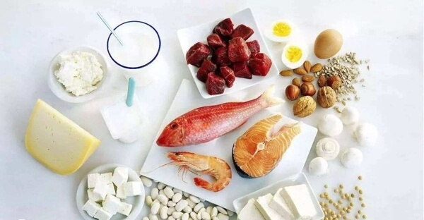 促排多补充蛋白质对卵泡发育有好处