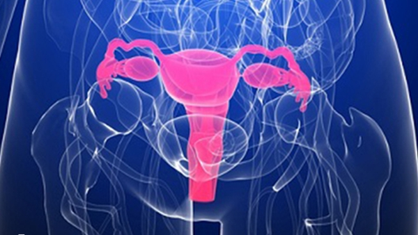 囊胚移植后小腹扯坠是正常的