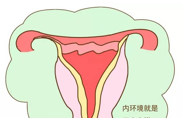 子宫内膜受容性差过早验孕不准