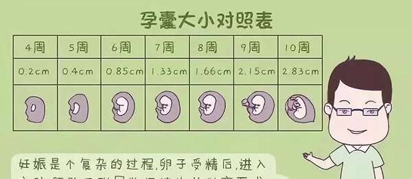 影响孕囊发育的因素有多个