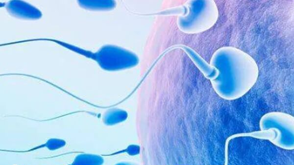 精子冷冻能避免肿瘤手术损伤生育力