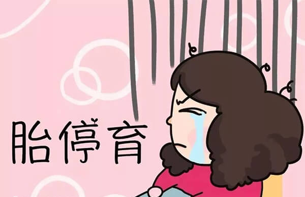 试管三代还是可能发生胎停