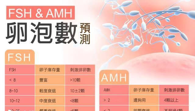 amh与基础卵泡数预测