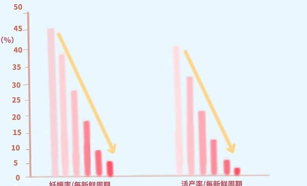 年龄会影响试管的成功几率