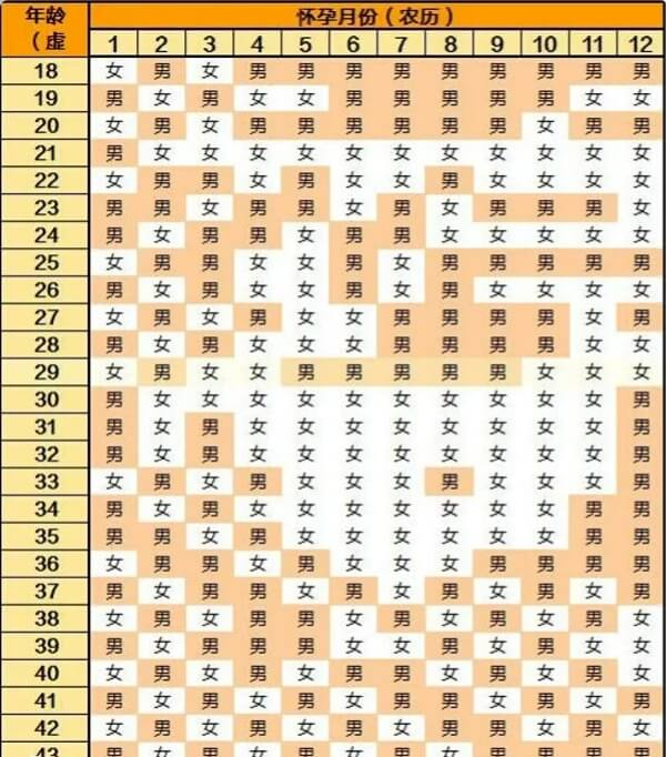 2024年清宫表