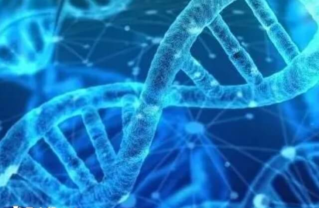 精子dna碎片率高需要先治疗