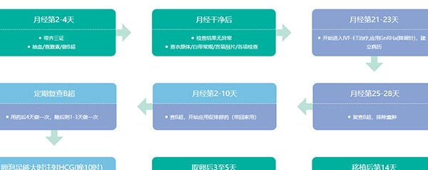 试管婴儿助孕流程图