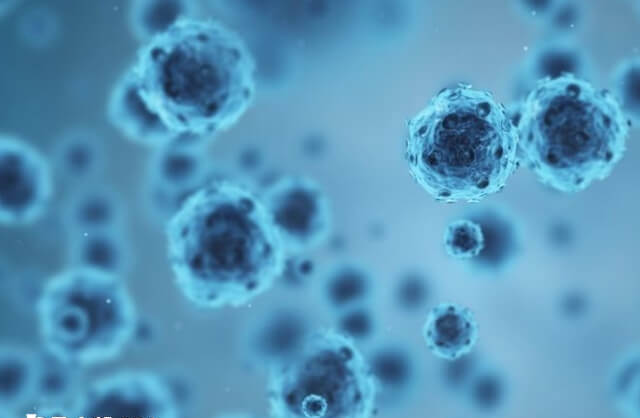 人类寄生着丰富的微生物菌群