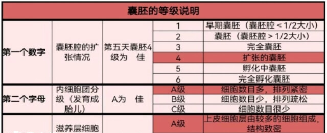 囊胚期胚胎评级标准