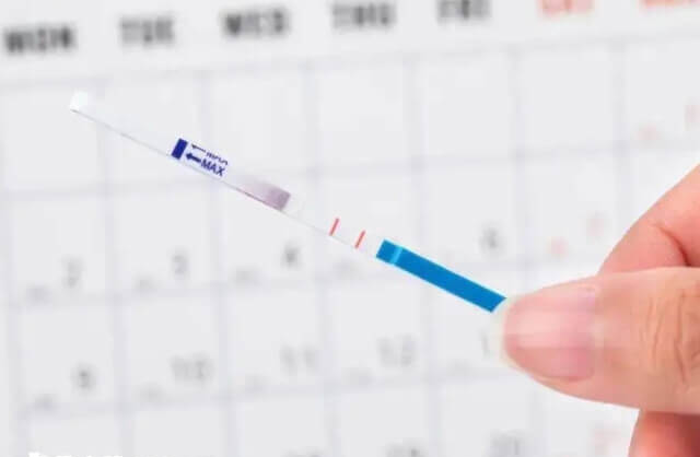 排卵期同房怀孕几率大