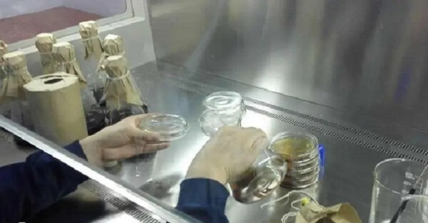 试管移植后出血原因多