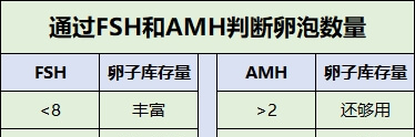 通过FSH和AMH判断卵泡数量