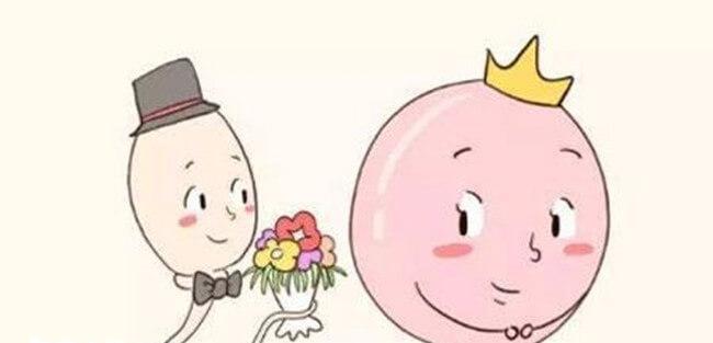 试管婴儿是体外授精