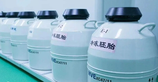 冻胚移植有多种方案
