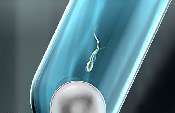 试管移植后乳房变软是着床成功了