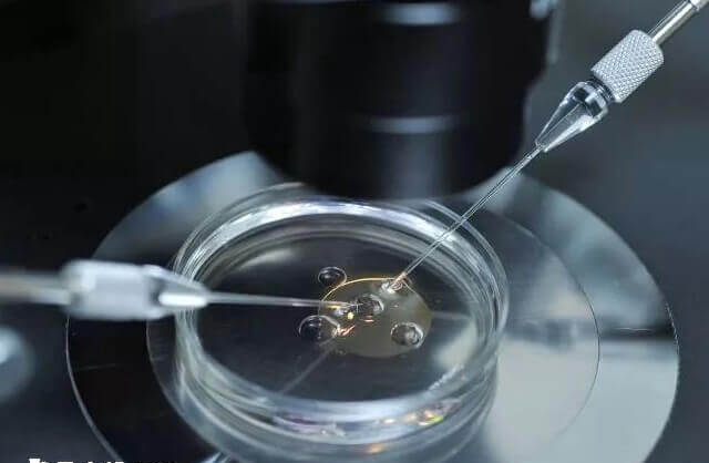试管移植后激素水平会变化