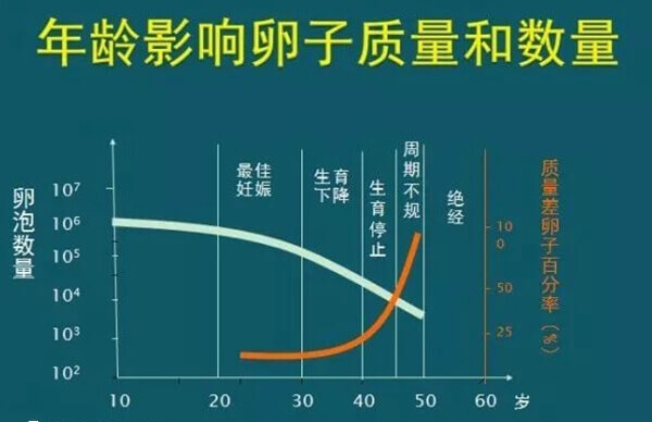 高龄女性卵子质量会下降
