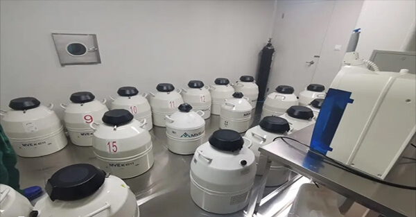可以移植冻胚生二胎三胎