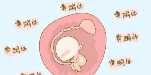 孕激素是维持早期妊娠的必需激素