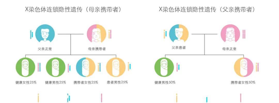 法布里氏病的遗传规律