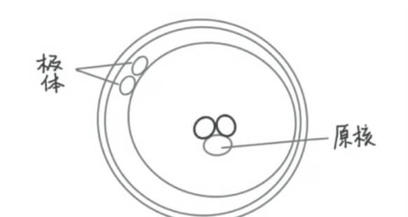 3PN
