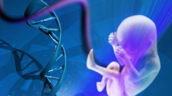 做试管婴儿后最需要及时回访